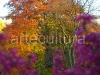 herbst09-i_0.jpg